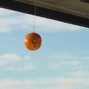 Terror Eyes, Inflatable Bird Repeller